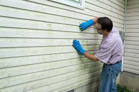 Best Siding Painting and Refinishing  in Wetumka, OK